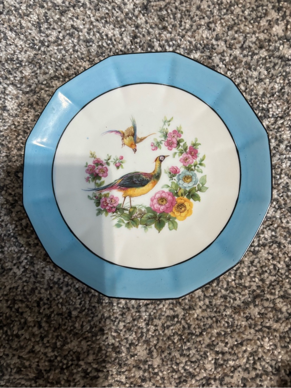 Blue Rim Decorative Bird Floral Plate
